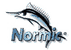 Normic